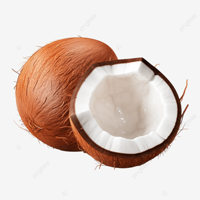 Whole Coconut